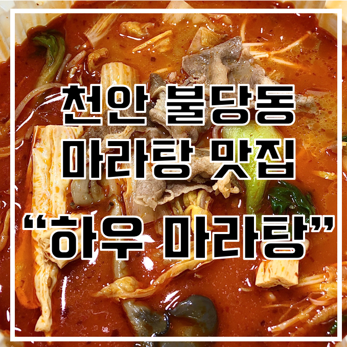  [천안 불당동 맛집] "하우 마라탕" 현지인이 운영하는 천안 마라탕 맛집 / 맵기 단계 비교 +후기추가