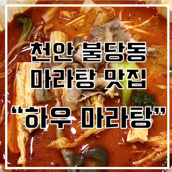 [천안 불당동 맛집] "하우 마라탕" 현지인이 운영하는 천안 마라탕 맛집 / 맵기 단계 비교 +후기추가