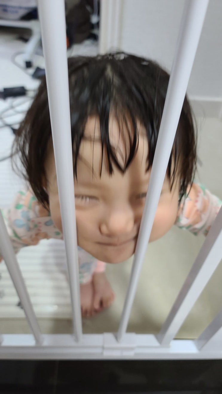  2021 뽐비네 릴레이 (생선파는언니, 희벙이vv 님)