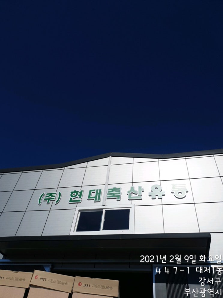  부산 강서구 대저동 현대축산유통 대성쎌틱 15리터 스테인레스 전기온수기 설치