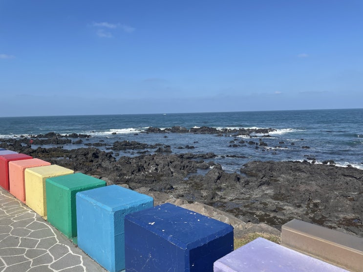  [제주도 여행 2박 3일] 셋째 날_모이세 해장국/ 도두동 무지개해안도로