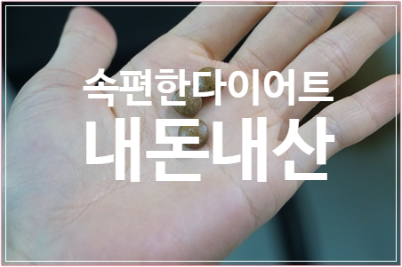  속편한 다이어트 칼로커트 내돈내산 후기 - 칼로커트가격 최대할인 받는 곳