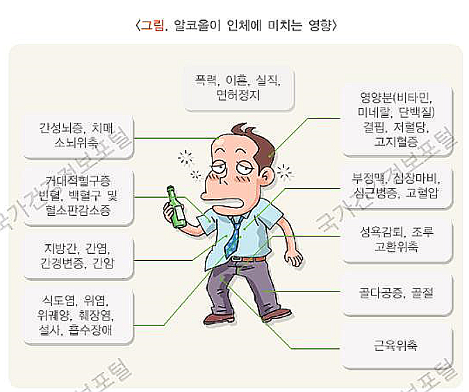 알콜이 인체에 미치는 영향