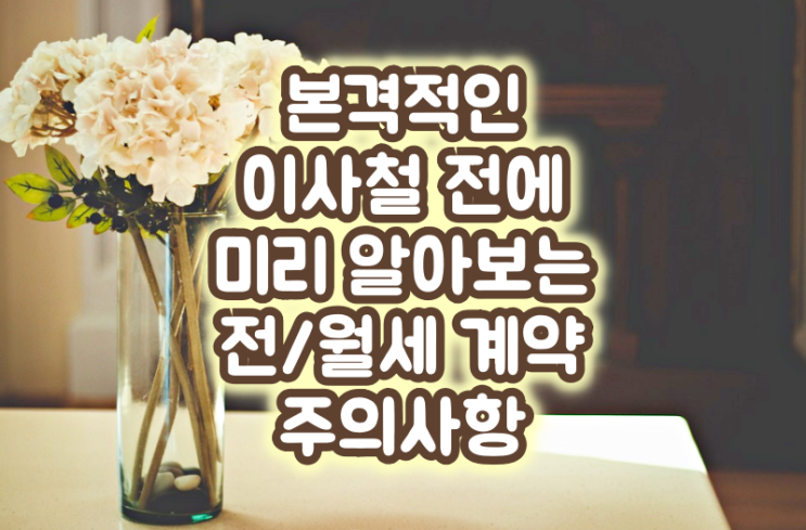  본격적인 이사 철 전에 미리 알아보는 전/월세 계약 주의사항