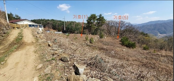  강원도 홍천군 토지경매, 2020타경1475호 (1번물건) 홍천군 내면 방내리 2751평 '전'경매 1억6천만