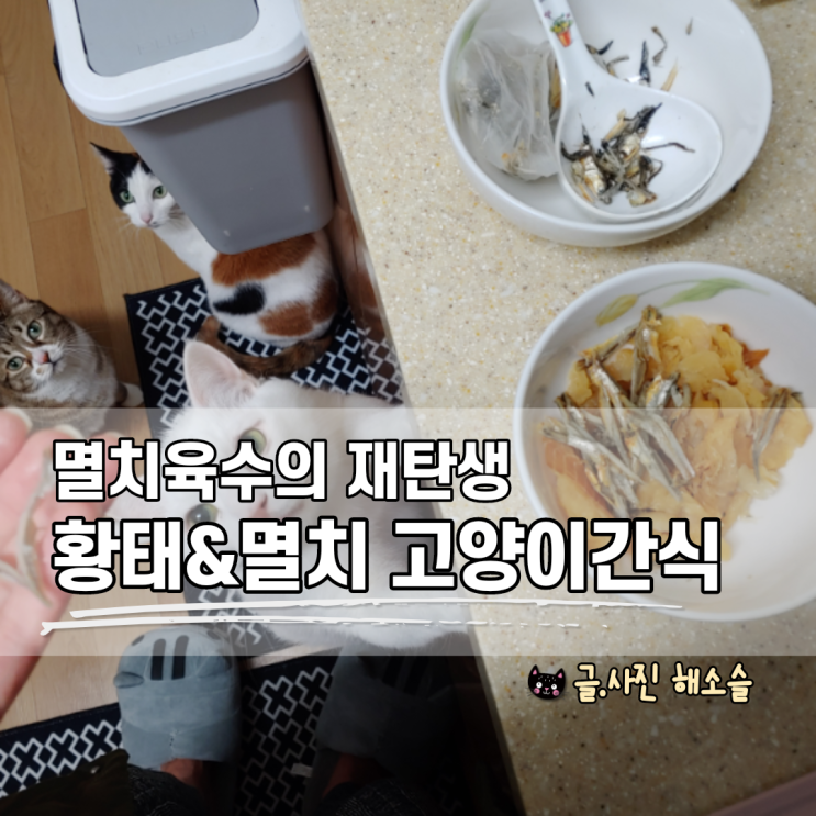  고양이 간식, 멸치육수용 멸치와 황태의 재 탄생~