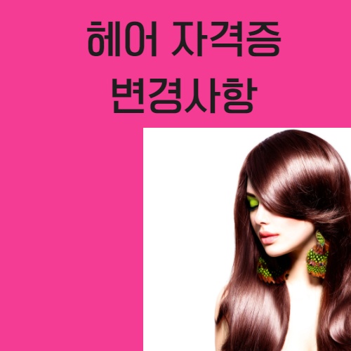  잠실미용학원 에서 헤어자격증 올해 꼭 따야하는 이유있었네요  ....