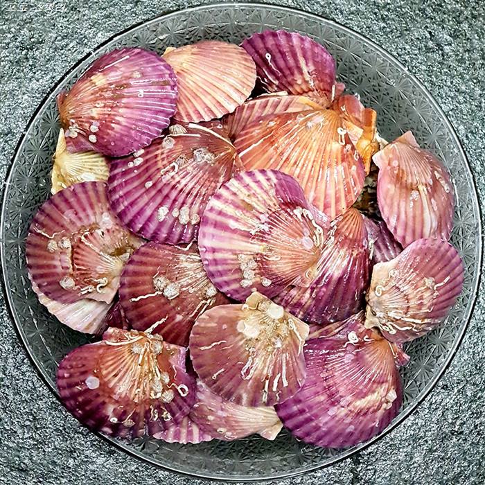  [할인상품] 한창수산 산지직송 통영홍가리비2kg /평일 1시이전주문시 당일 발송 13,500 원 7% 할인!