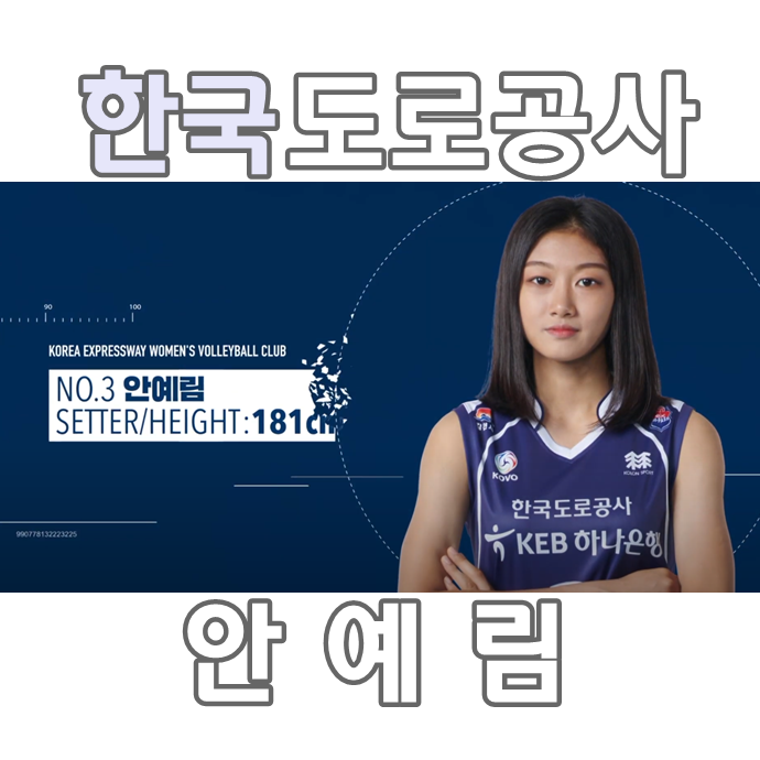  도로공사 배구선수 안예림