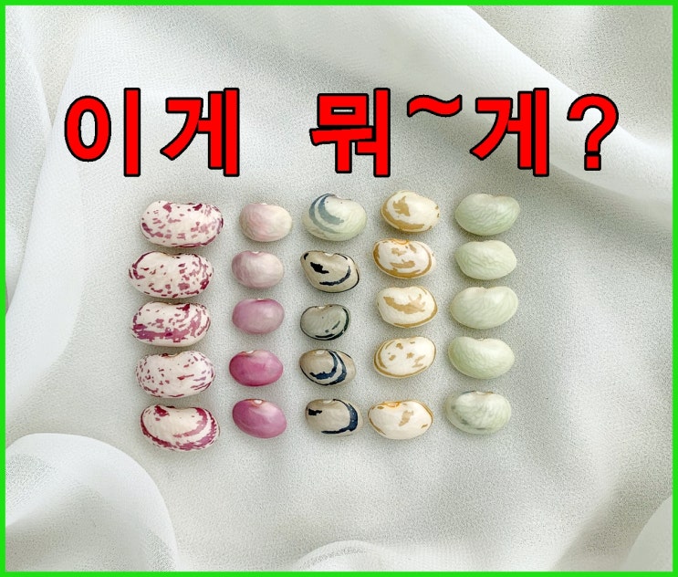  콜레스테롤 낮추는 음식을 알아야 혈관 건강을 지킨다.