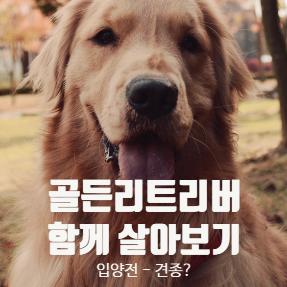  [001] 입양 전 고려사항 - 견종 : 나보다는 남을 위한 선택