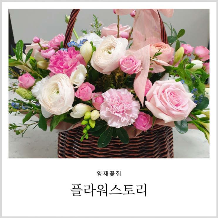양재꽃집 플라워스토리 가격착했던 생화 꽃바구니(feat.양재꽃시장 주차) 양재꽃집 플라워스토리 가격착했던 생화 꽃바구니(feat.양재꽃시장 주차)