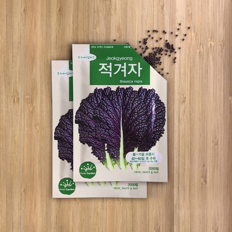 최근 인기있는 BFA 프리미엄 채소씨앗 적겨자, 2개입(로켓배송) ··· 최근 인기있는 BFA 프리미엄 채소씨앗 적겨자, 2개입(로켓배송) ···