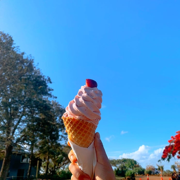  [번다버그] 번다버그 가 볼 만한 아이스크림 맛집 Tinaberries