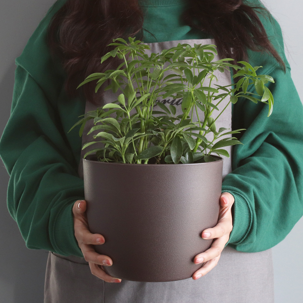 많이 찾는 모리앤 물주는 시기를 알수있는 플랜트 눈금화분 원형, 브라운(로켓배송) 추천해요 많이 찾는 모리앤 물주는 시기를 알수있는 플랜트 눈금화분 원형, 브라운(로켓배송) 추천해요