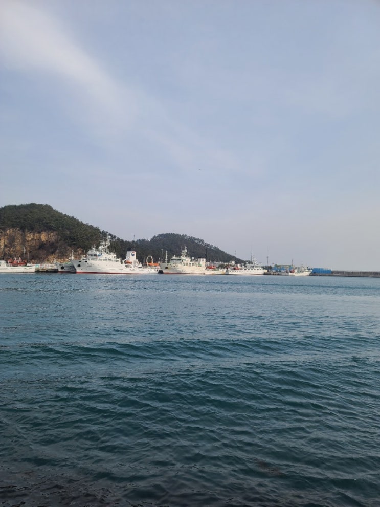  부산 기장 연화리 해물 포장마차촌 나들이하기 좋은 곳