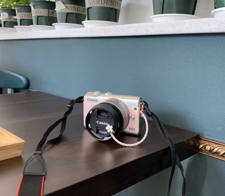  [ 미러리스 / 추천템 ] 캐논 eos m100 핑크 + 팬케이크렌즈 , 렌즈 캡홀더, 고래 파우치