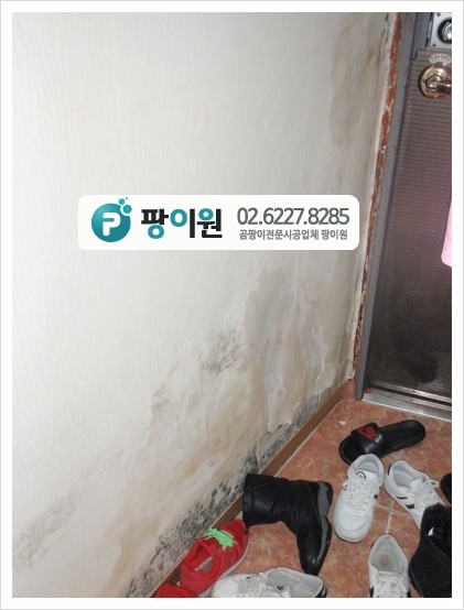  끝장내는 벽 곰팡이제거 방법!