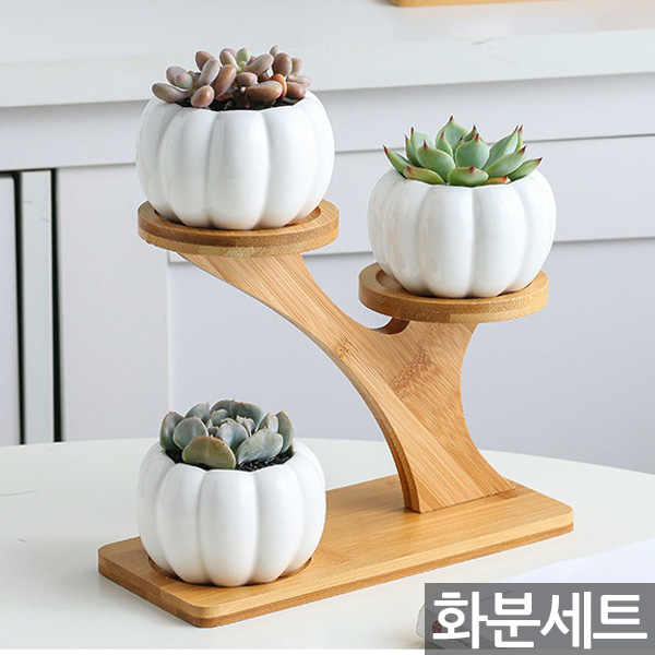 선택고민 해결 다육이 화분 3종 + 받침대 - 미니 다육이화분 선인장 세라믹 식물 받침 실내화분 사무실 거실 예쁜화분 도자기, 04_Sein_호박세라믹화분세트 추천합니다 선택고민 해결 다육이 화분 3종 + 받침대 - 미니 다육이화분 선인장 세라믹 식물 받침 실내화분 사무실 거실 예쁜화분 도자기, 04_Sein_호박세라믹화분세트 추천합니다