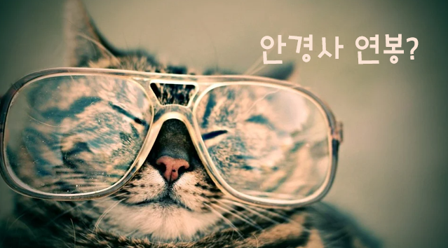  안경사 연봉, 살짝 들여다 보시죠~