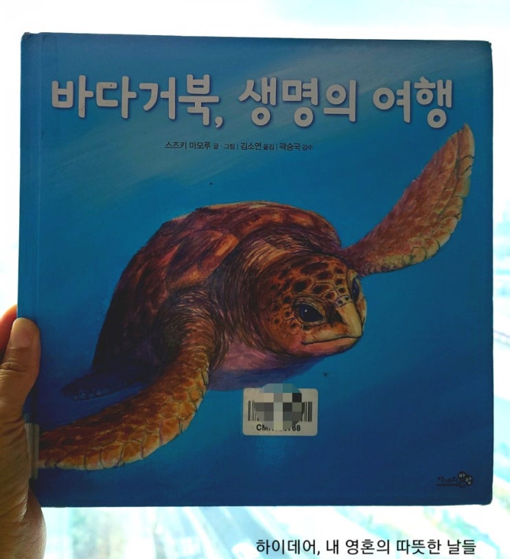  '바다거북,생명의여행'_생명을 이어나가는 머나먼 여정