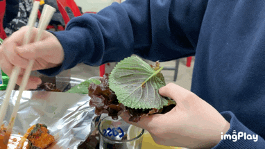  만족했던 부산꼼장어맛집, 부산산곰장어