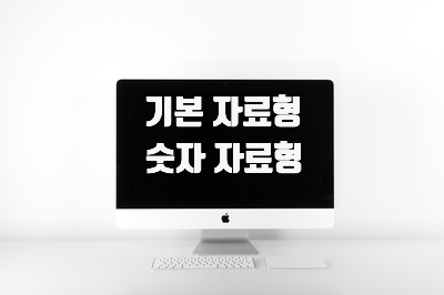  [혼공스] 기본 자료형 [숫자 자료형]