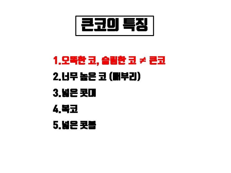  높고 오똑한 코는 OK!! 큰 코는 No!! 큰 코 교정을 위한 코수술은?