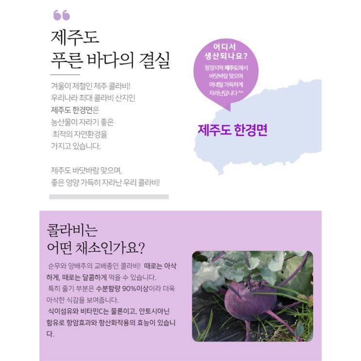  [특가상품] 제주도 콜라비 특상품 21,900 원︎ 
