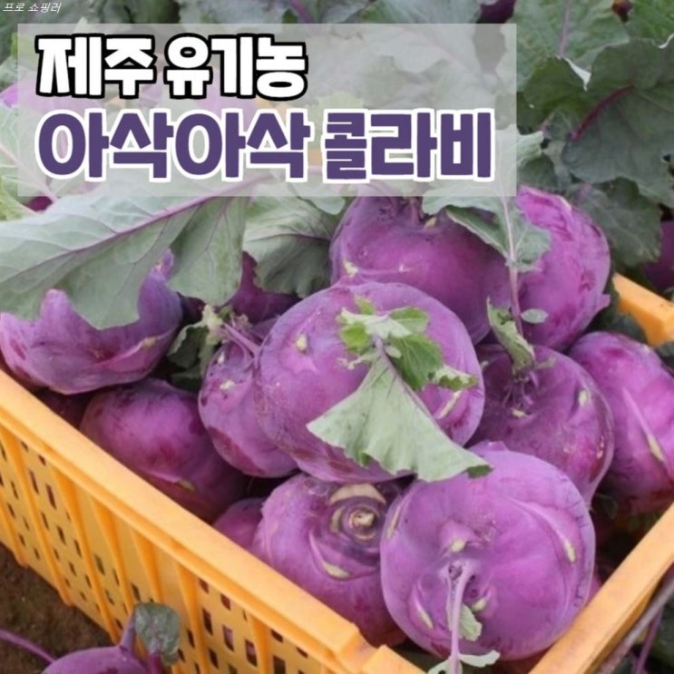  [할인상품] 유기농 콜라비 햇 제주콜라비 제주도콜라비 제주 제주도 제주산콜라비 3kg 5kg 10kg 15kg 36,800 원︎ 2% 할인