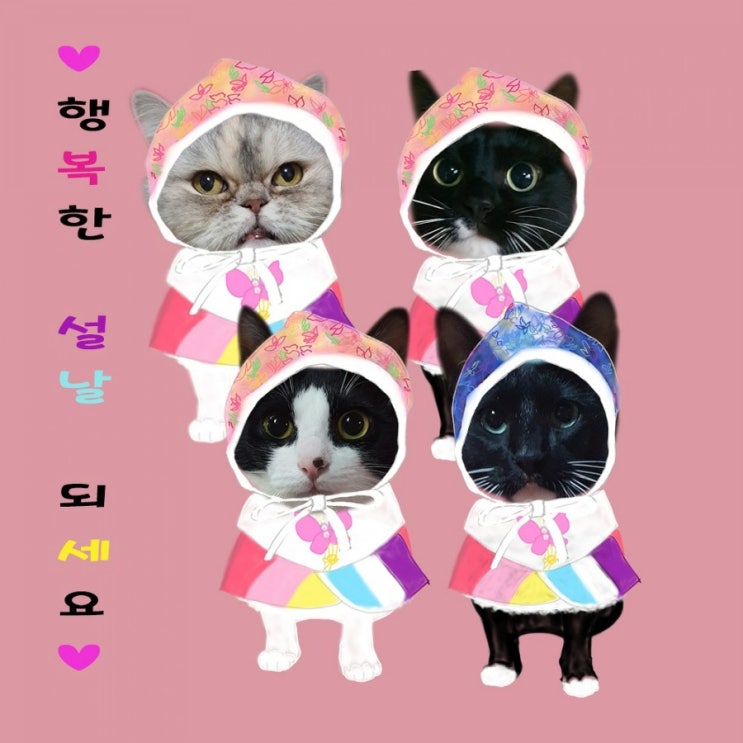 이웃님들 즐거운 설날 되세요 이웃님들 즐거운 설날 되세요