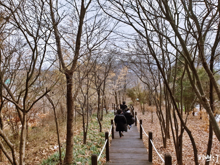 대전 아이와 가볼만한 곳 : 자연생태학습원 산책, 대전가볼만한곳 [대전여행]