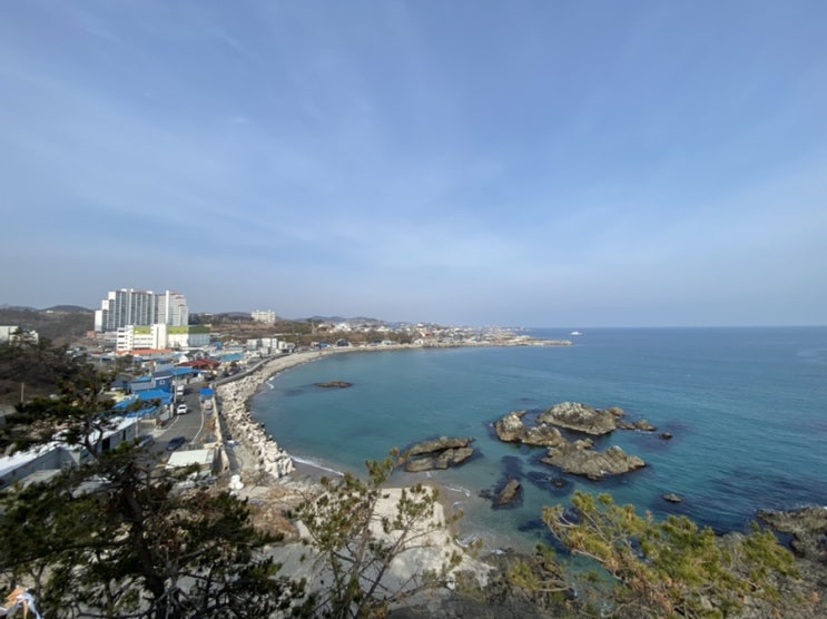 포항 구룡포 베스트 오션뷰카페 '파도'