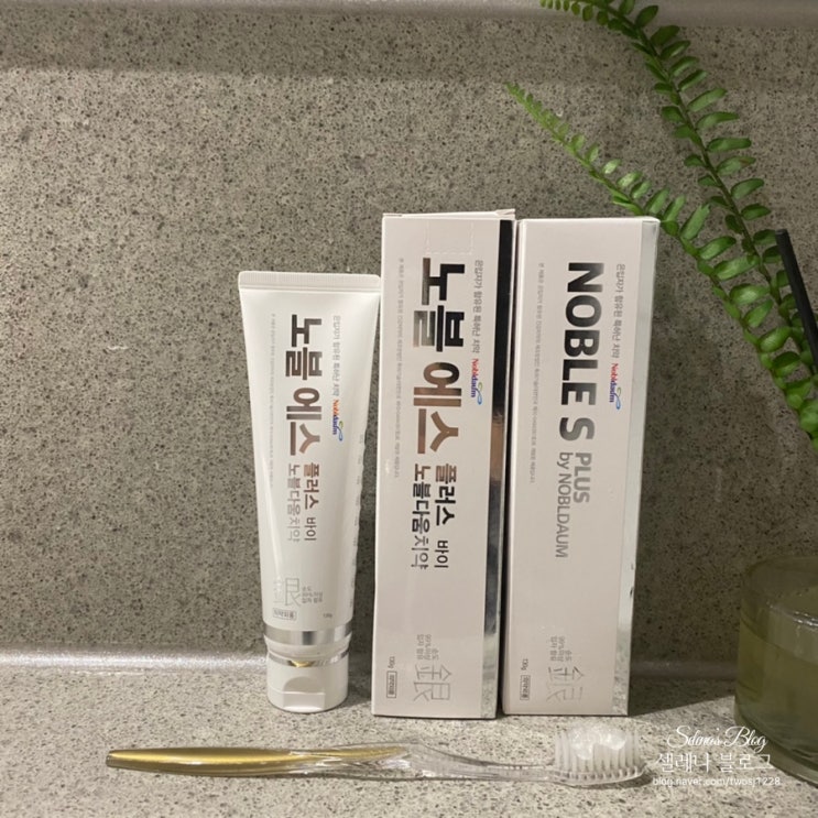  잇몸질환예방에 효과적인 노블에스은치약으로 상쾌하게