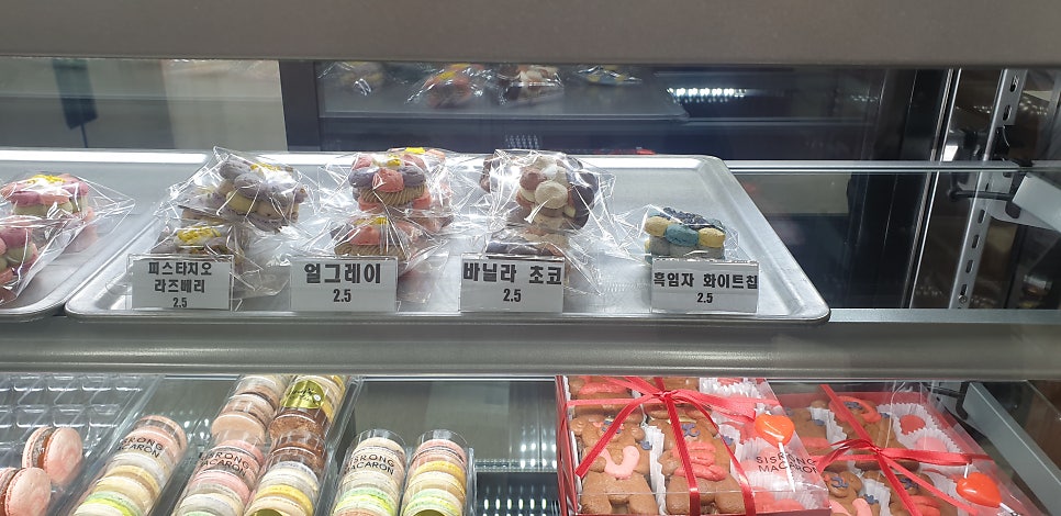 시스롱 사진 3