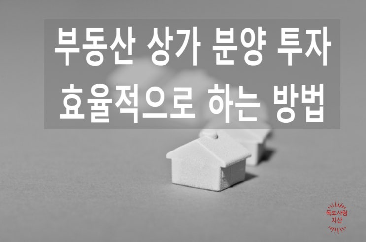  부동산 상가 분양 투자 효율적으로 하는 방법 알려드립니다.