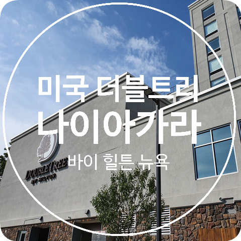  [뉴욕 버펄로] 미국 더블트리 바이 힐튼 호텔 나이아가라폴스 뉴욕