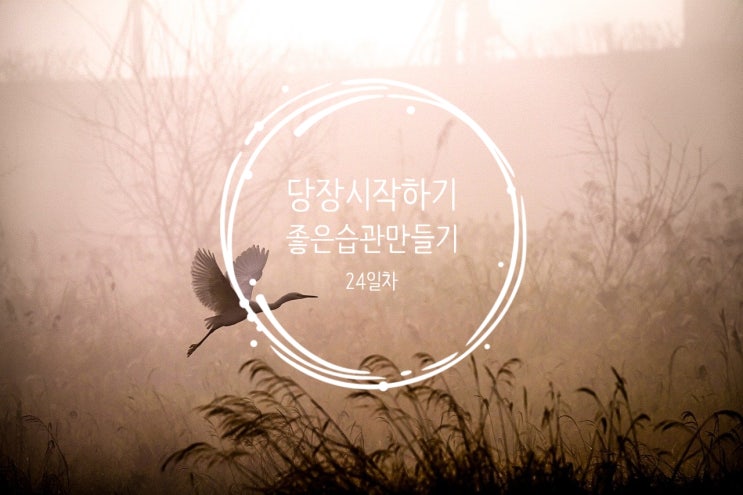  습관 만들기 24일차 -  당장 시작하기
