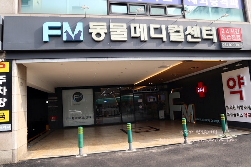 화정동동물병원 FM동물메디컬센터 봄이 건강진단 후기