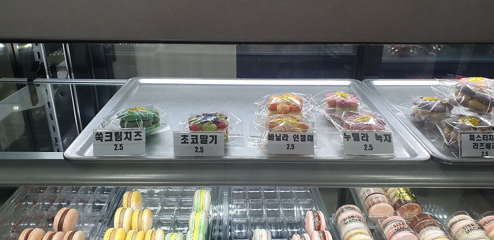시스롱 사진 4