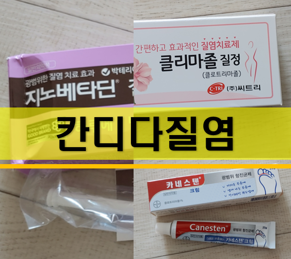 칸디다 질염의 증상 원인을 알고 예방하다(+약국 질정)