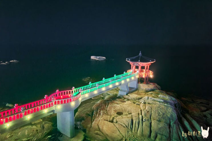  속초 여행 동명항 영금정 속초 야경 명소
