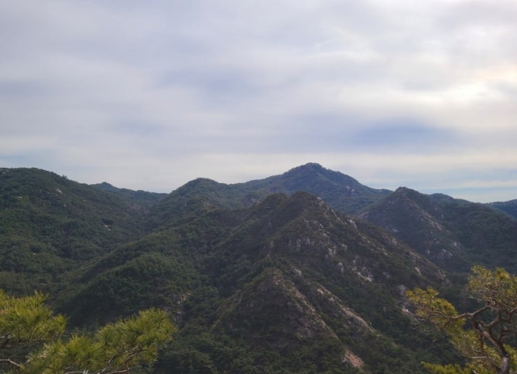  100대명산-63, 경주 남산 등산코스(서남산 공영주차장~삼릉탐방지원센터~삼릉숲~삼릉~금오산~설잠교~경애왕릉~원점)
