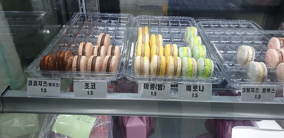 시스롱 사진 5