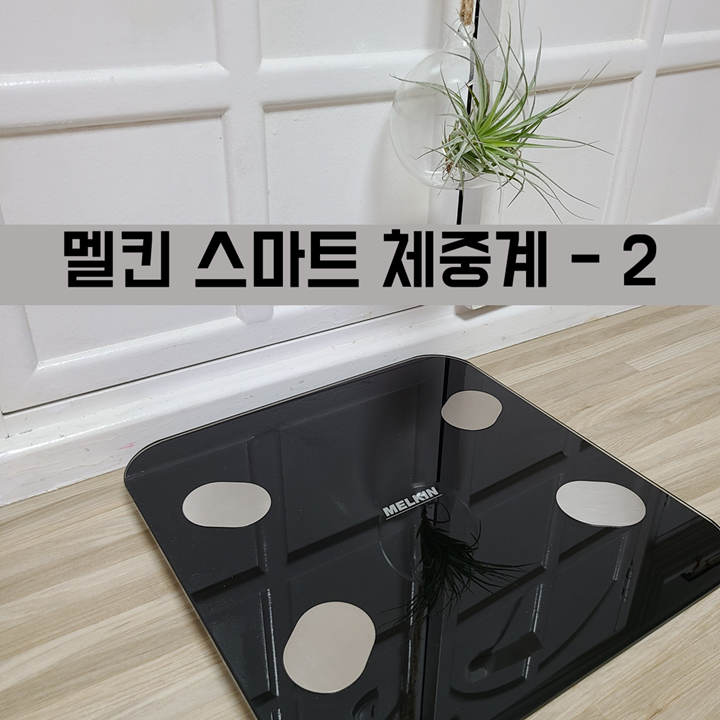 인바디 체중계 - 멜킨 스마트 체중계 2번째 리뷰! -