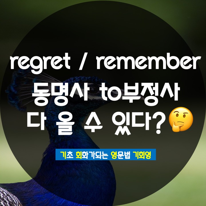 to부정사 동명사 목적어로 취하는 동사 정리 - 기회영