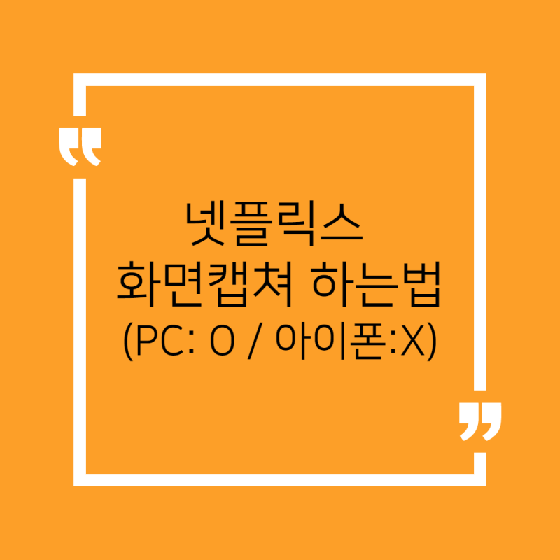 넷플릭스 캡쳐하는법 (Pc: 가능,아이폰:불가능) : 네이버 블로그