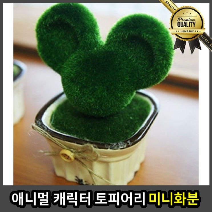 당신만 모르는 애니멀 미니화분 귀여운 캐릭터 토피어리, 토끼 추천합니다 당신만 모르는 애니멀 미니화분 귀여운 캐릭터 토피어리, 토끼 추천합니다