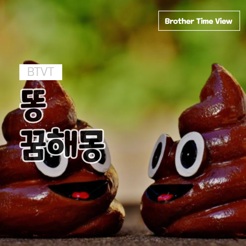 손에 똥 묻는 꿈(변기에/바지에/팬티에/싸는)