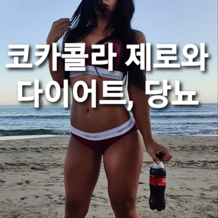  코카콜라 제로의 모든 것) 성분과 다이어트